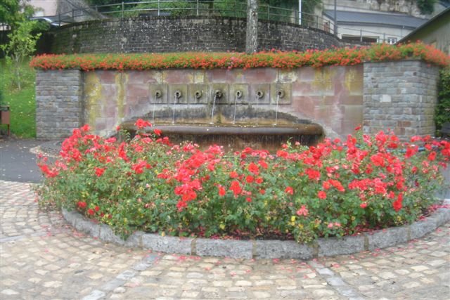 TDL2007 (6)